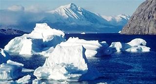 artico, antartida, arctic, antarctic, degelo, aquecimento global, efeito estufa, greenhouse efect, global warming, polar bear, extinction